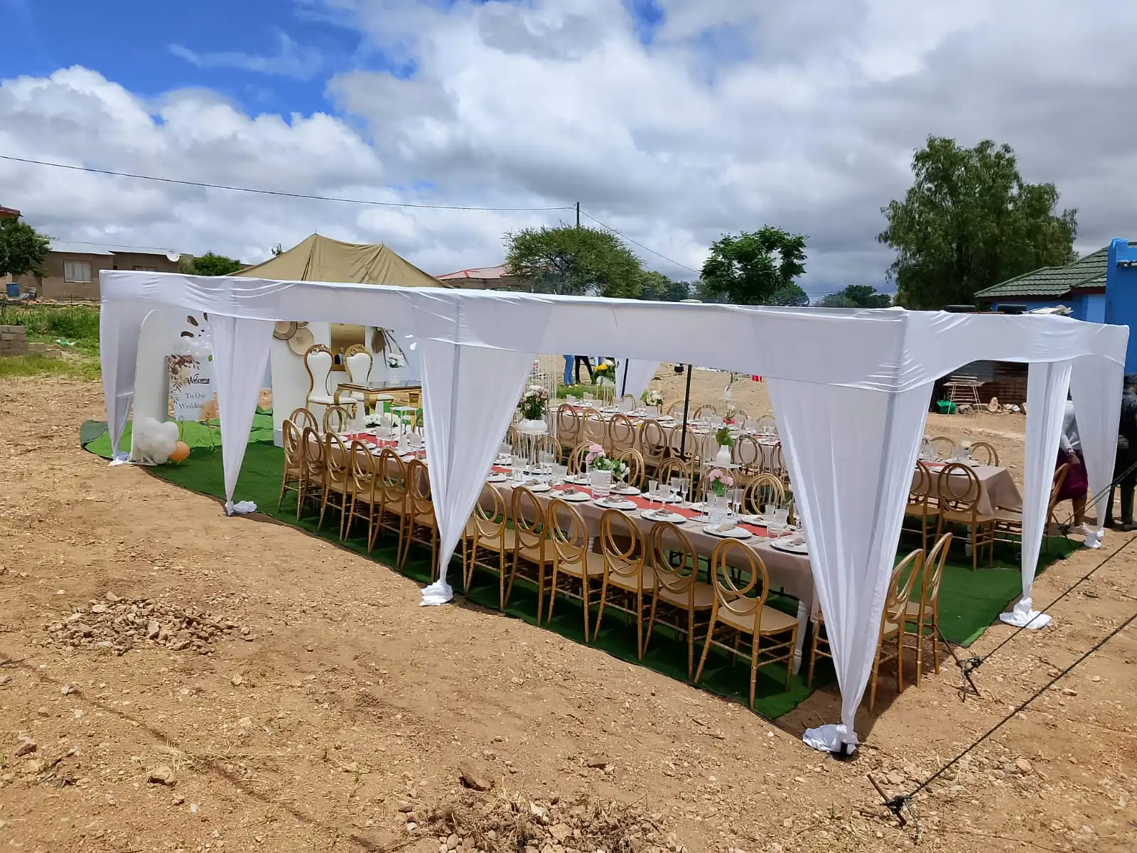 Premium birthday party decor with colorful balloon garland and custom backdrop